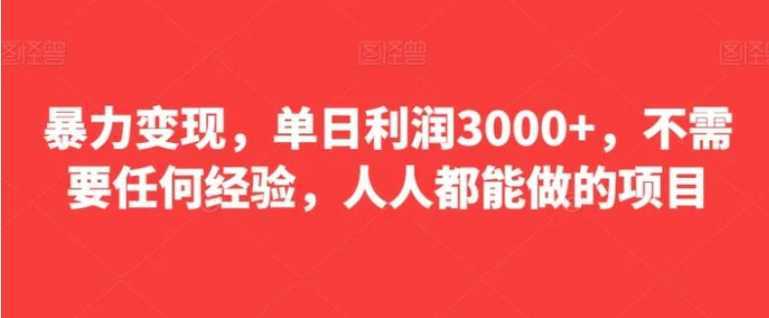 暴力变现,单日利润3000+,不需要任何经验,人人都能做的项目