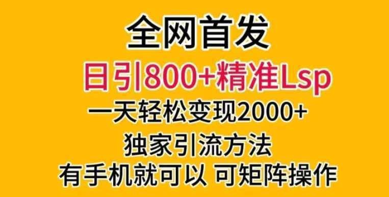 全网首发!日引800+精准老色批,一天变现2000+,独家引流方法,可矩阵操作【揭秘】