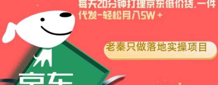 每天20分钟打理京东低价货,一件代发-轻松月入5W+