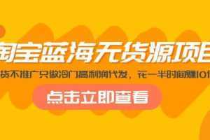 淘宝蓝海无货源项目,不囤货不推广只做冷门高利润代发,花一半时间赚10倍钱