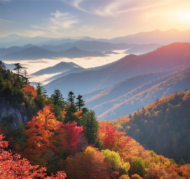 哪个手机兼职平台最可靠,轻松赚取额外收入?