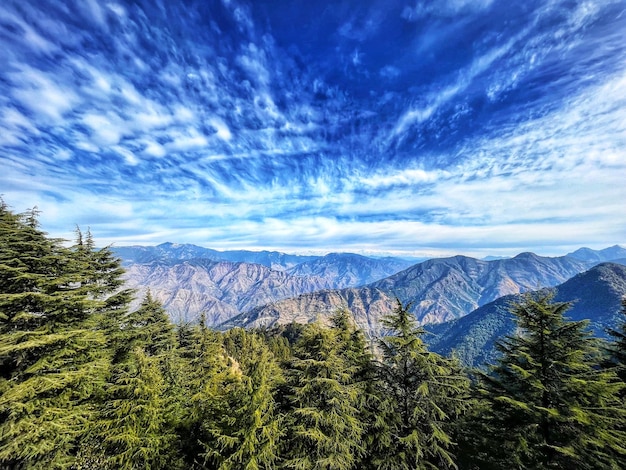 手机兼职副业哪个好赚钱,推荐五种靠谱选择