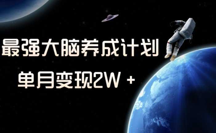 冷门虚拟项目,最强大脑养成计划,一个月变现2W+