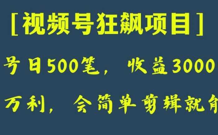 日收款500笔,纯利润3000+,视频号狂飙项目!