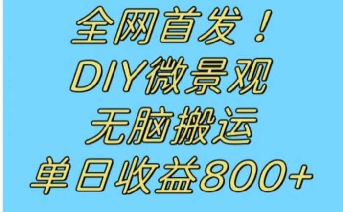全网首发冷门赛道!DIY微景观,无脑搬运视频,日收益800+【揭秘】