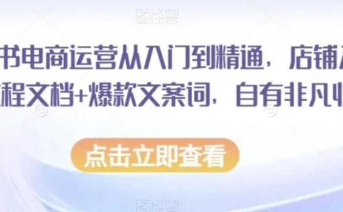 小红书电商运营从入门到精通,店铺入住全流程文档+爆款文案词,自有非凡收获