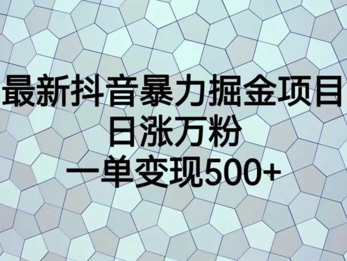 最新抖音暴力掘金项目,日涨万粉,一单变现500+